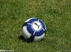 彩票中奖,委托人权益,受法院保障,开云体育平台,开云体育官方网站,开云体育登录入口,开云体育app下载