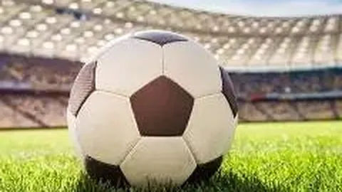 开云体育 资讯 124809 1nh