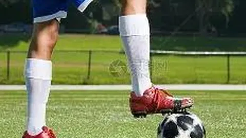 开云体育 资讯 125132 aev