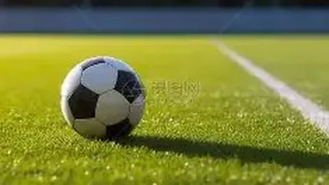 开云体育 资讯 124539 2k2