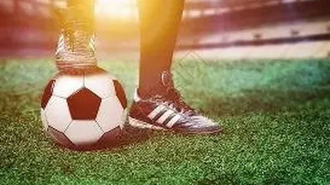 开云体育 资讯 125115 ty7