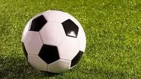 福克斯：文班回归缓解压力，球队比赛更自如