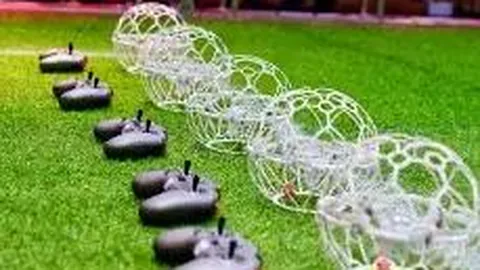 开云体育 资讯 100830 qzc