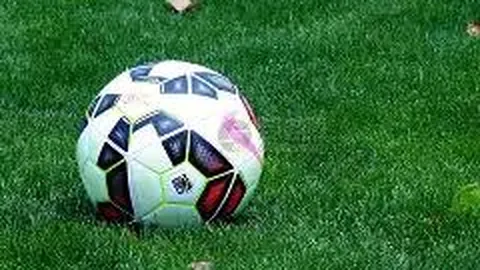 独家周订特惠！每日人气作家现场金句，不容错过的智慧盛宴！